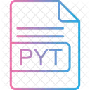 Pyt File Format Icon