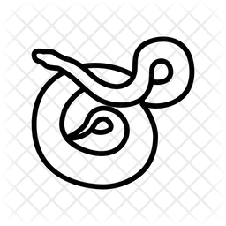 Python Icons - Free Download in SVG, PNG