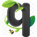 Q Alfabeto Letra Icono
