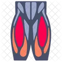 Quadriceps  Icon