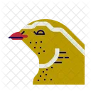 Quail Bird Wildlife Icon