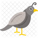 Quail Animal Beak Icon
