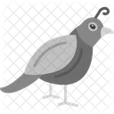 Quail Animal Beak Icon