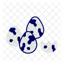 Quail eggs  Icon
