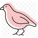 Quail Bird Small Icon