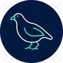 Quail Bird Small Icon