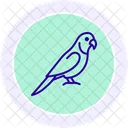 Quaker Parrot Icon