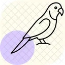 Quaker Parrot Quakerparrot Pet Icon