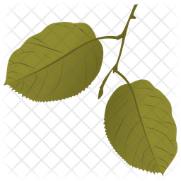 Quaking Aspen Icon