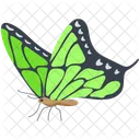 Birdwing Wildlife Hexapod Icon