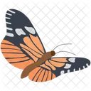 Birdwing Wildlife Hexapod Icon
