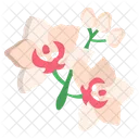 Queen Of The Night Flower Blossom Icon