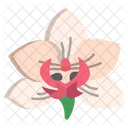 Queen Of The Night Flower Flowers Icon