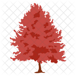 Quercus Palustris Icon