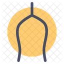 Querlenker  Symbol