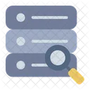 Query Database Search Icon