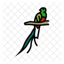 Quetzal Bird  Symbol