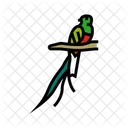 Quetzal Bird Icon