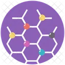 Ciclooctano Estructura Molecular Icono