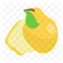 Quince Fruit Fresh Icon
