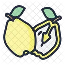 Quince Fruit Food Icon