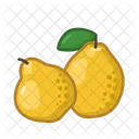 모과 과일 건강 아이콘
