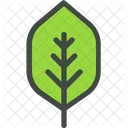Quince Leaf Nature Icon