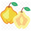 Quince Quince Fruit Fruit Icon