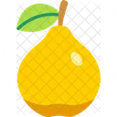 Quince Vegetable Food Icon