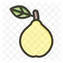 Fruit Healthy Organic Icon