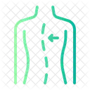 Quiropractica Columna Vertebral Osteopatiaortopedia Icono