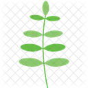 Laisser Une Branche Une Branche De Feuille Une Branche Icon
