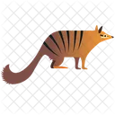 Quoll  Icon