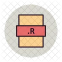 File Type R File Format Icon