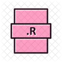 R  Symbol