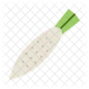 Rabano Verdura Comida Icono