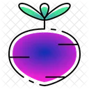 Rábano  Icono