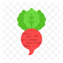 Rábano  Icono
