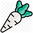 Rabano Icono