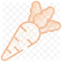 Rabano Icono