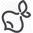 Rabano Icono
