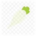 Rábano  Icono