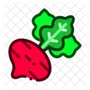 Rábano  Icono