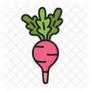 Rábano  Icono