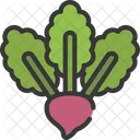 Rábano  Icono