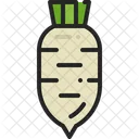 Blanco Rabano Daikon Icono