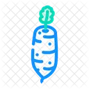 Rabano Blanco Blanco Rabano Icono