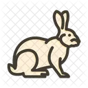 Bunny Animal Easter Icon