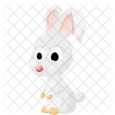 Rabbit Animal Cartoon Rabbit Icon