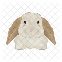 Rabbit  Icon